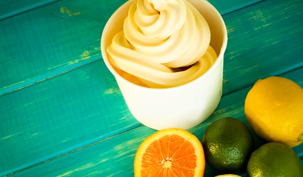 Froyo: passing fad or lasting success?