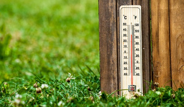 Feeling the heat: Call for more green space