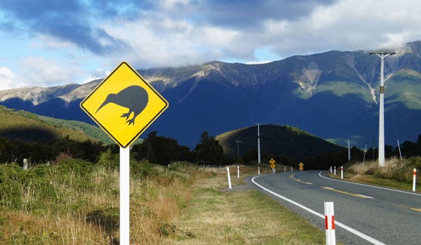Kiwi’s set to outperform Aussie SMEs in 2014