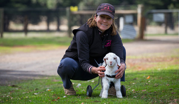 Aussie crowdfunding campaign sets record with viral video