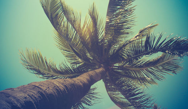 Female entrepreneurs in the Pacific beat Aussie counterparts