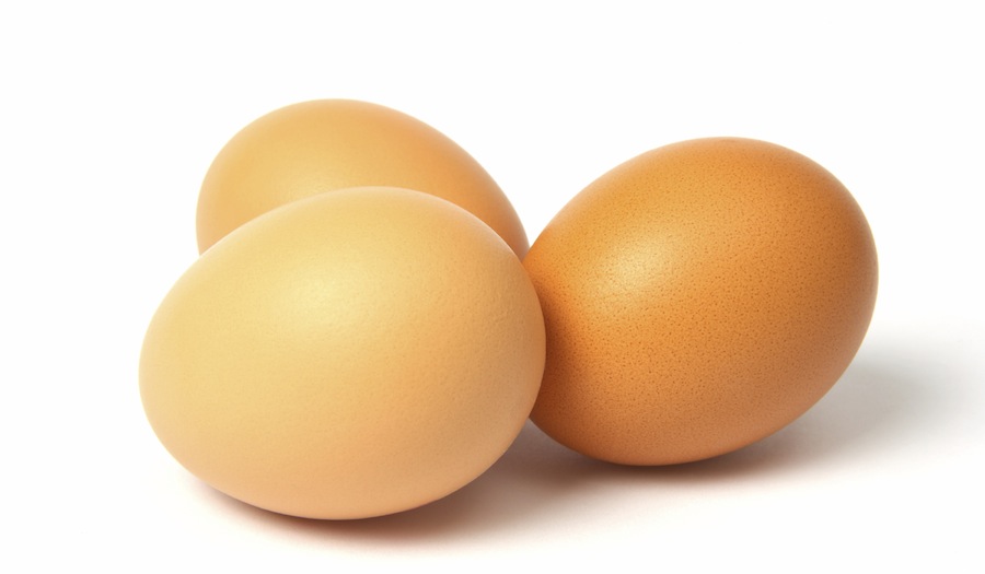 ACCC takes action against Free Range Egg Farms
