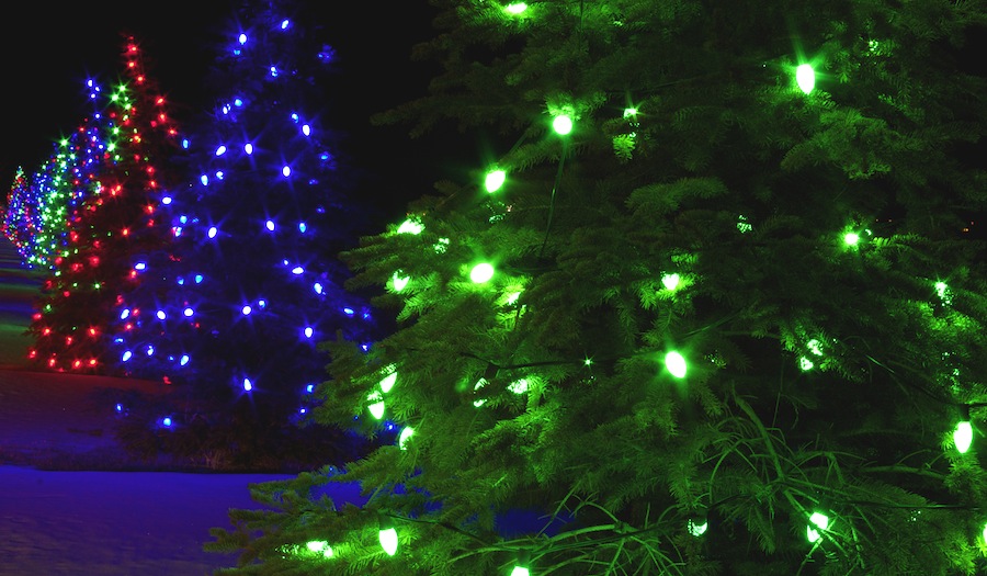 Google using tree lights to engage coding girls