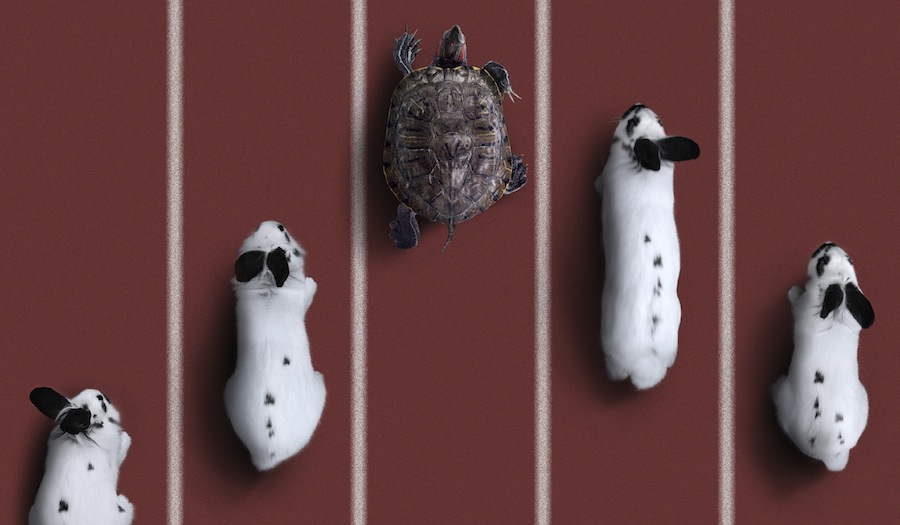 The tortoise or the hare approach