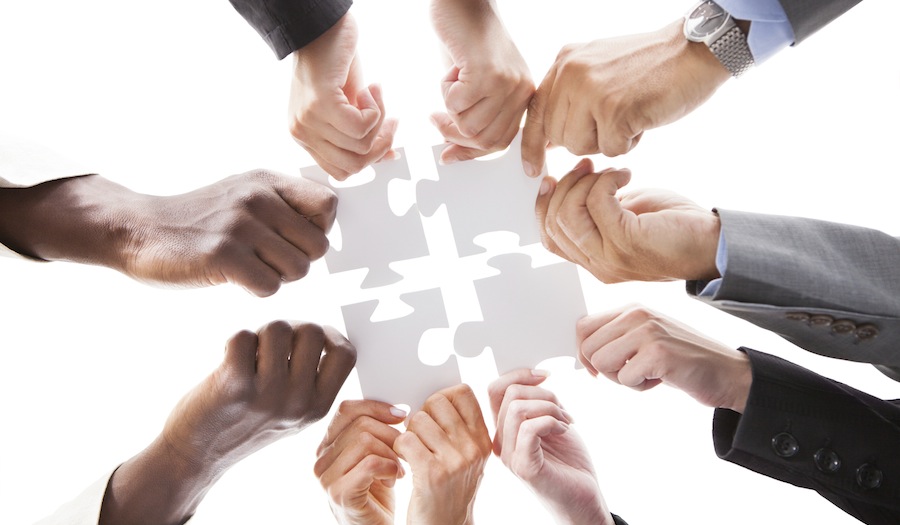 How to harness the potential of your team