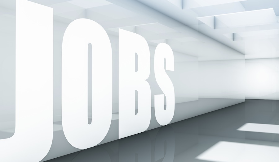 Banking and Financial Services sees labour growth