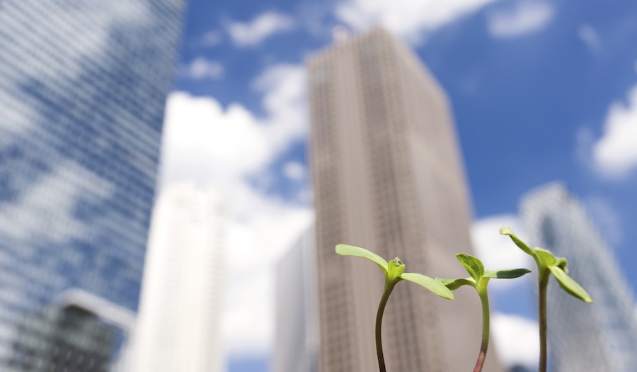 7 ways to grow your business