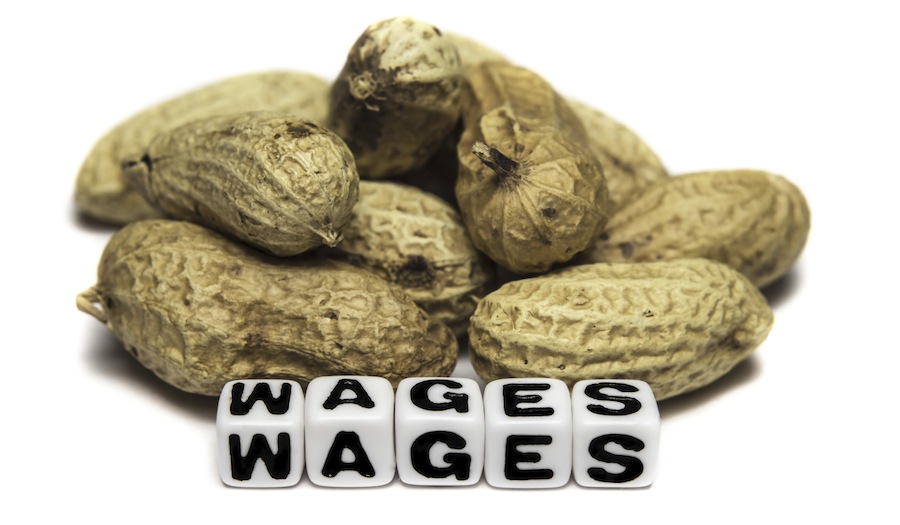 Unions: Small Business Budget money should increase minimum wages