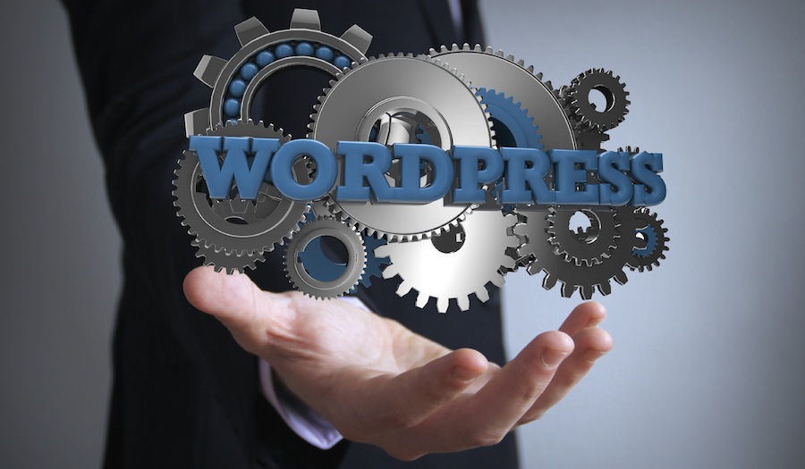 Small Business: Stop ignoring WordPress security