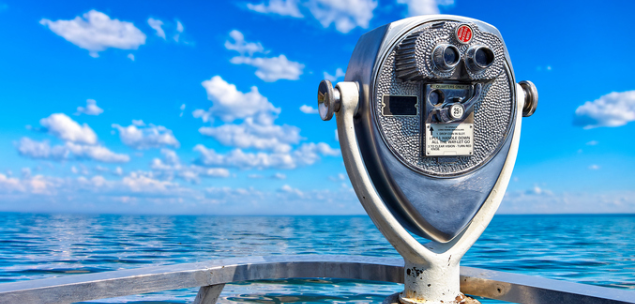 Looking beyond our shores as a small business