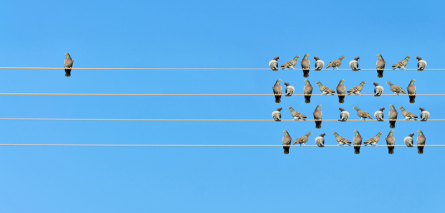 United or divided: when the views of your company aren’t shared by your employees