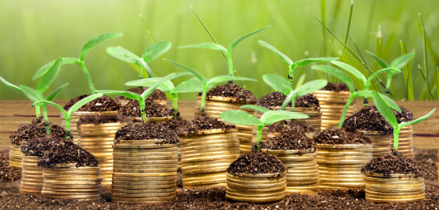 NSW Government set to secure equity in SMEs with ‘good ideas’ using new $150 million fund