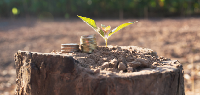 The common investment mistakes you need to avoid