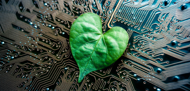 Why ethical startups are big business today