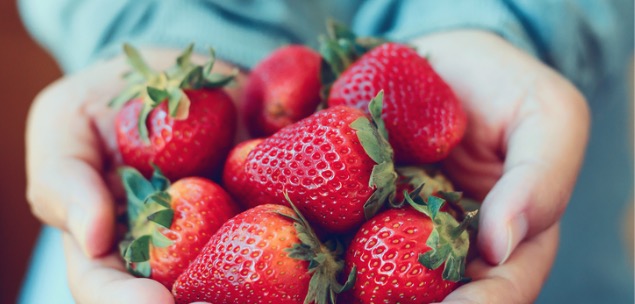 Govt funding for Qld strawberry industry
