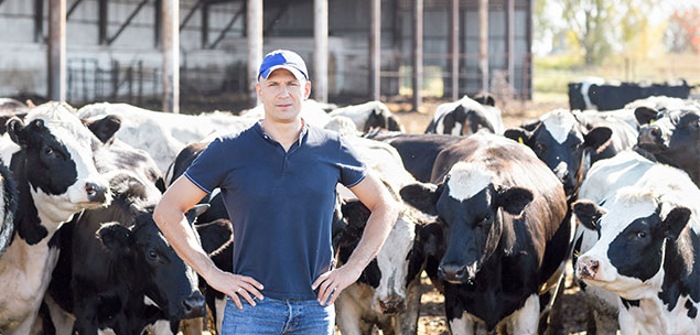 Coles and Aldi raise their milk prices in support of dairy farmers