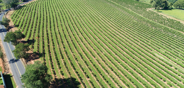 The future of fintech in Agribusiness