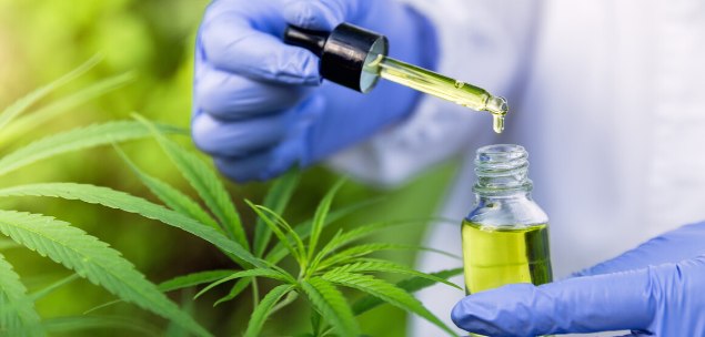 Astrology, plant-based products and CBD oil are the 2020 trends