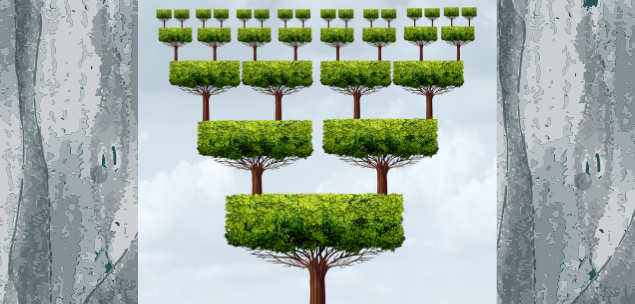 Let’s talk: The ups and downs of franchise businesses