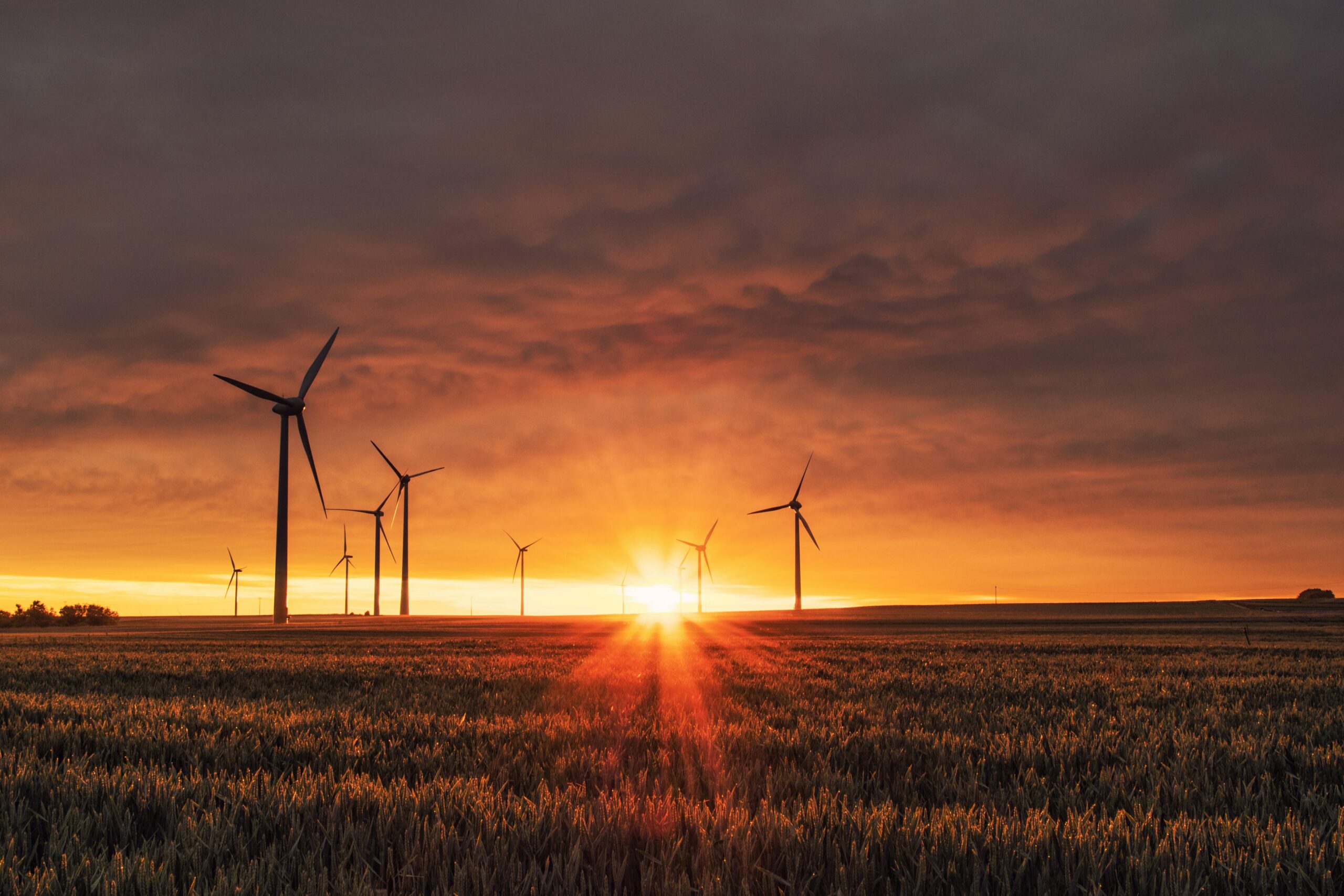 ESG a growing global investment trend: Research