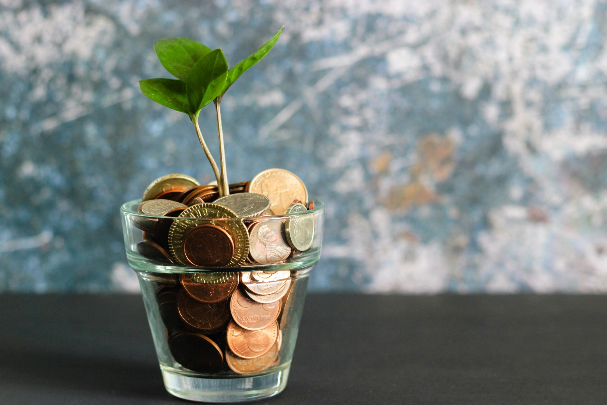 Businesses respond coolly to the coronavirus SME guarantee scheme