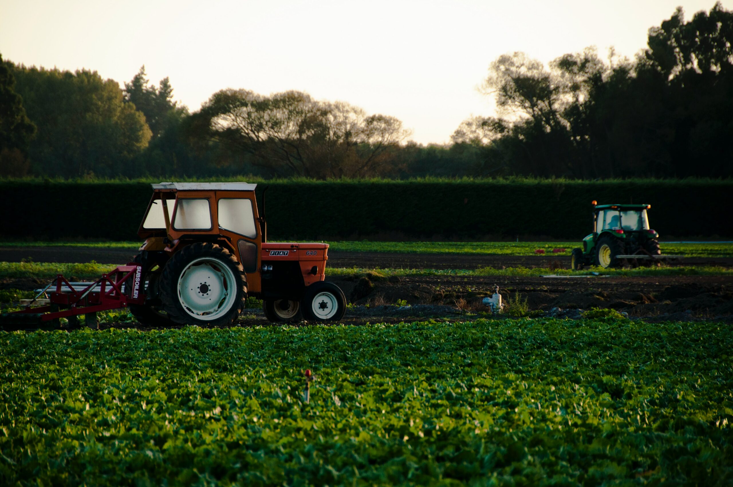 ‘Rural empowerment a key focus’: how Zoho’s digital transformations benefit small and regional businesses