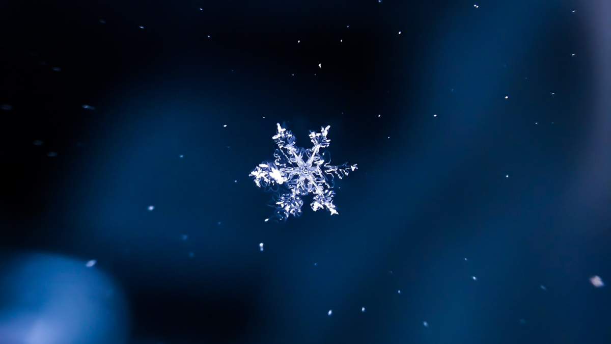 Snowflake announces $250,000 Global Startup Challenge