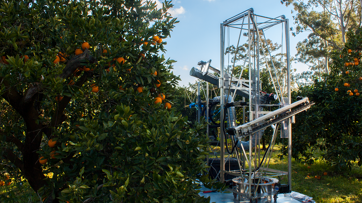 Fruitful business: how Ripe Robotics is transforming robotics and agriculture