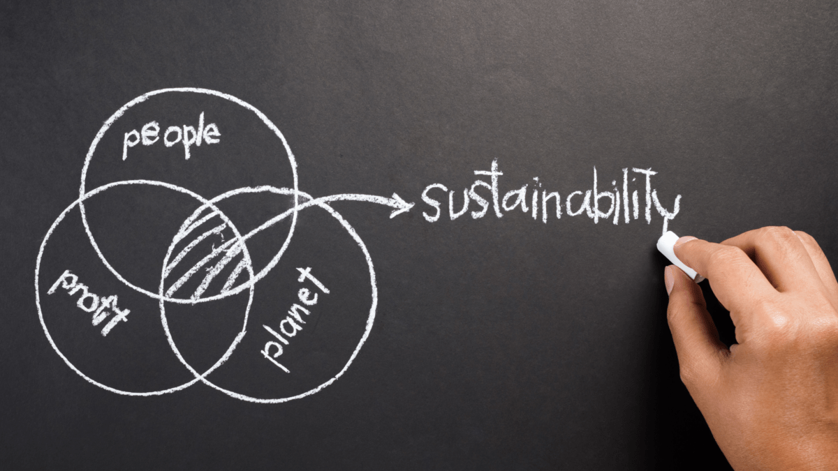 Tech Tuesday: Track your eco-impact with these 5 simple tools for SMEs