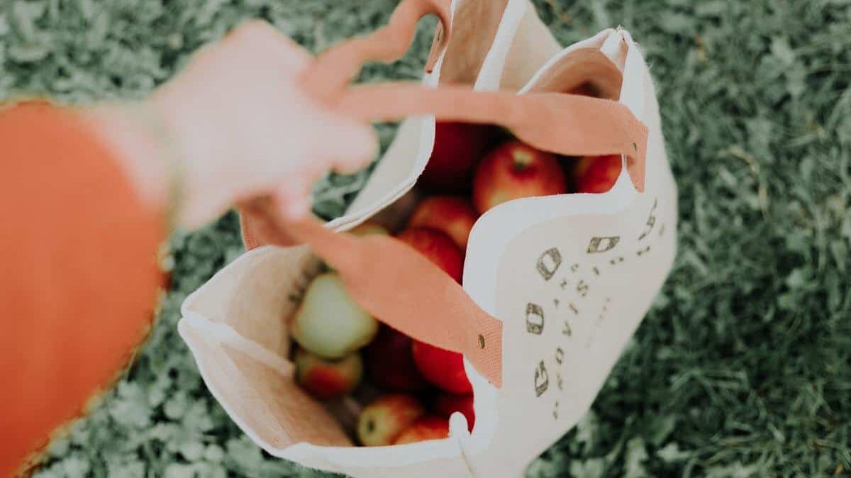 Ollee: The Aussie platform connecting purpose-driven B2B buyers with ethical brands