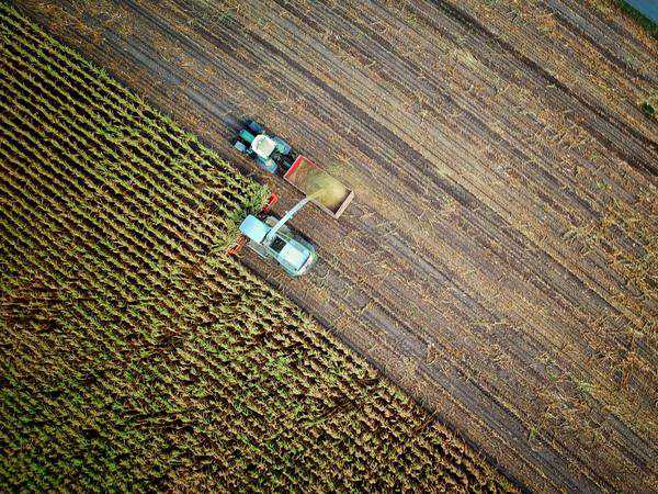 Report reveals blockchain solutions and plant-based proteins as 2021’s major agricultural innovation trends