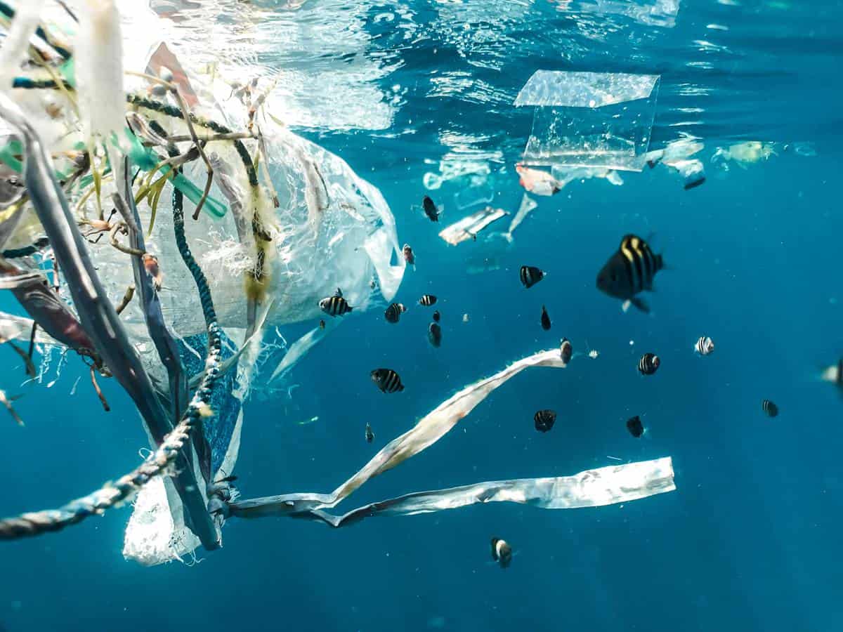 How research will help in the fight against global warming