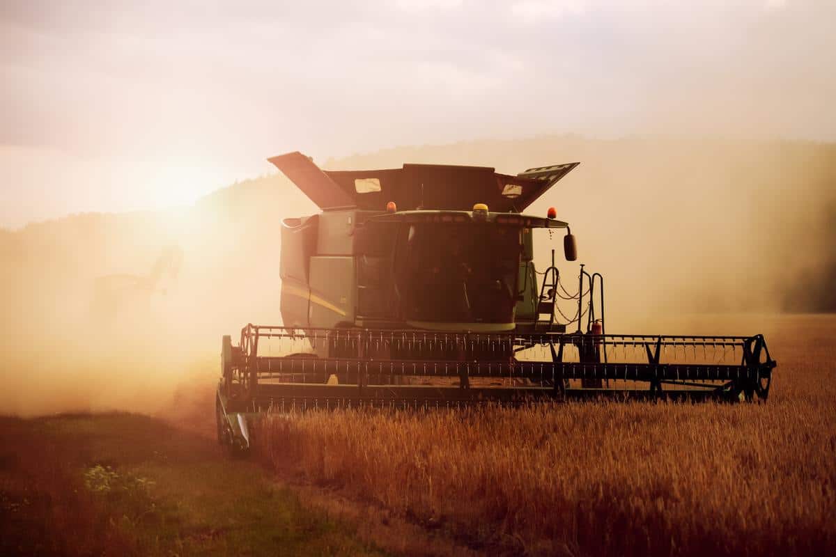 Business news and updates: Australia’s mouse plague could return after bumper winter harvest