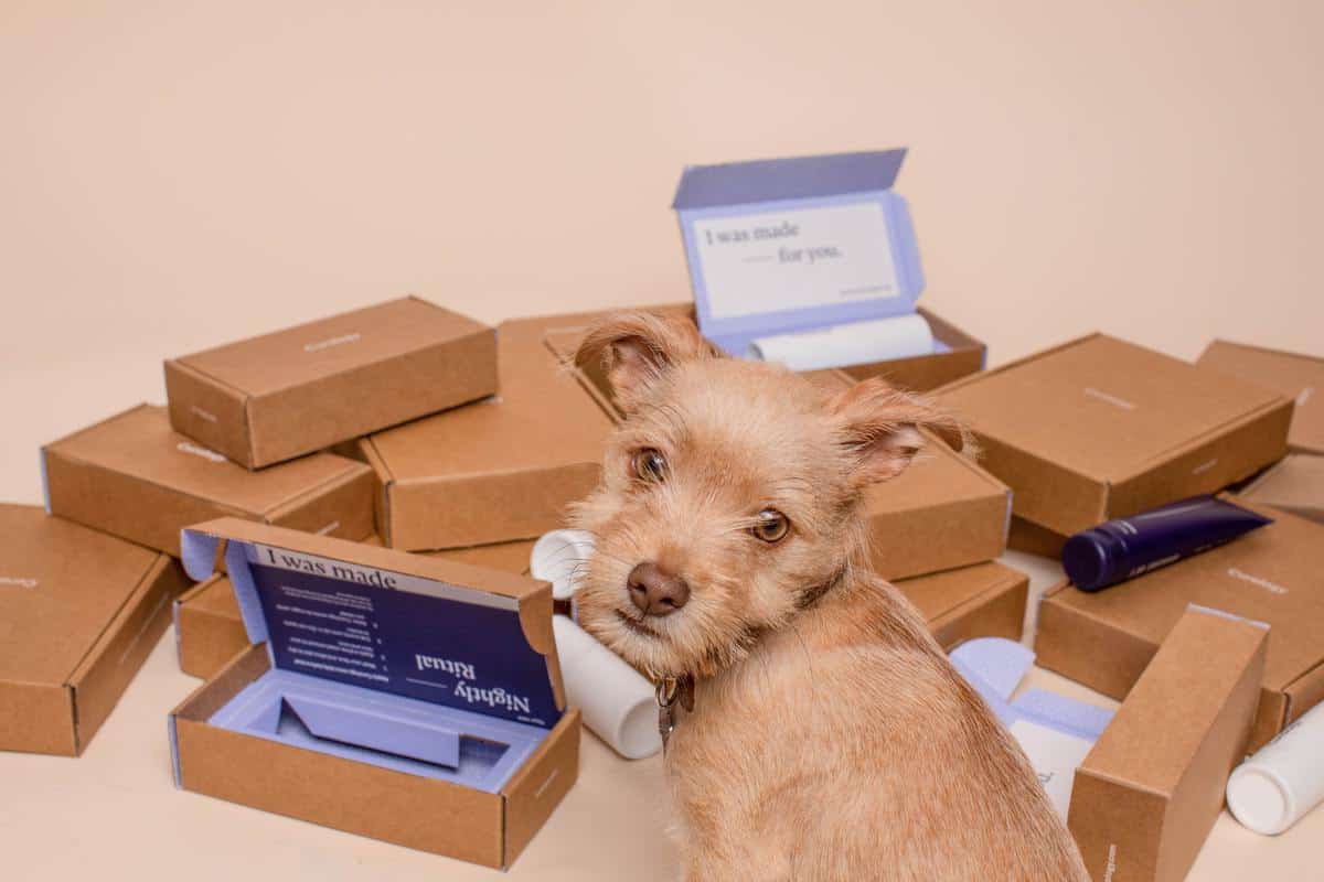 SMEs must remain agile and transparent with customers to keep goods moving