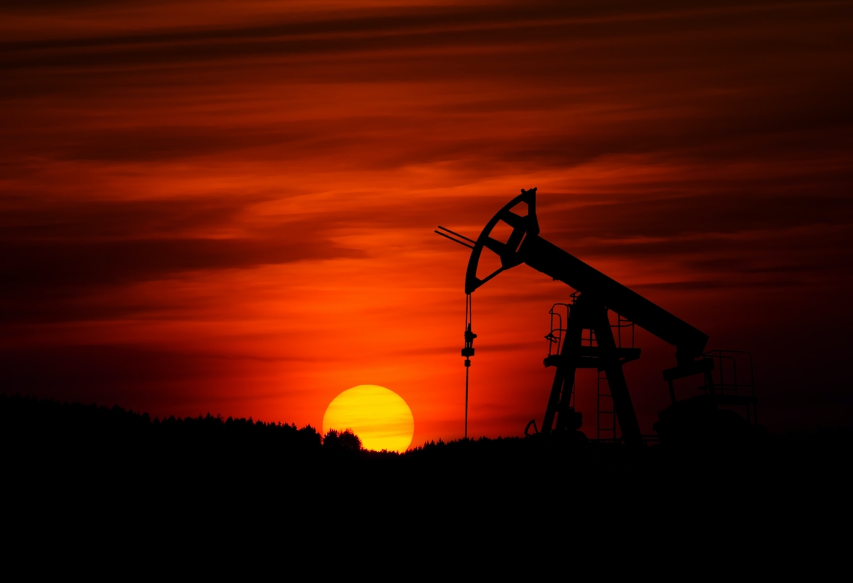 Business news and updates: OPEC steadily increases production as economy recovers