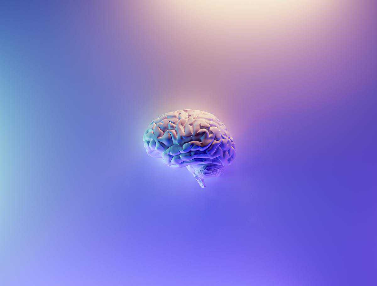 How your brain changes when you become an entrepreneur