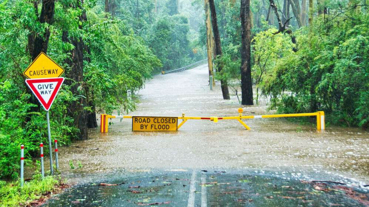 QLD and NSW flooding: What affected businesses should know
