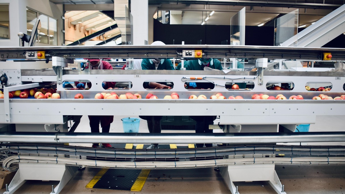 Automation will protect jobs, not take them