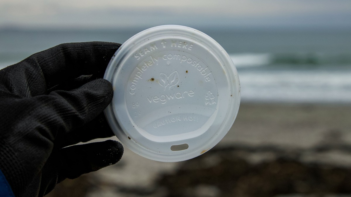 What the new greenwashing guidelines mean for your business