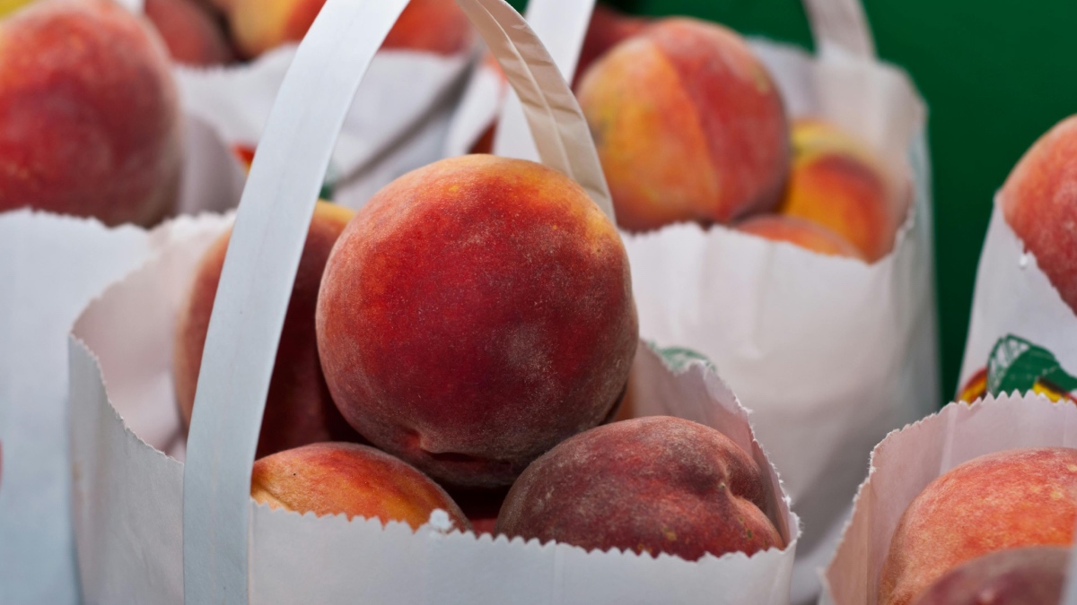 Coles’ paper bags: We read the feedback and here’s what SMEs can learn