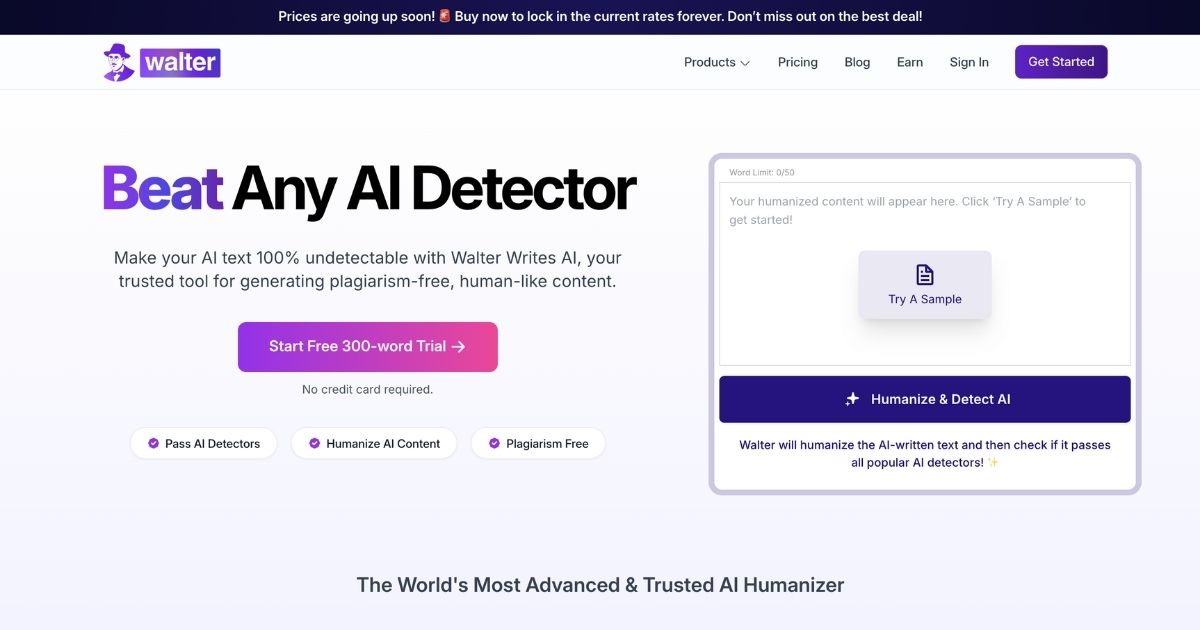 WalterWrites: AI text humanizer